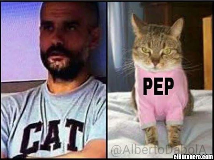 Pep Guardiola y los gatos