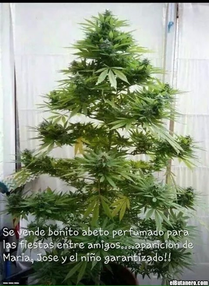 Arbol de Navidad