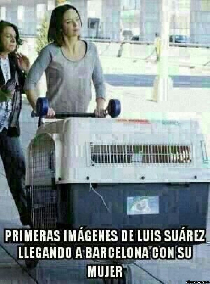 Luis Suarez llega a Barcelona