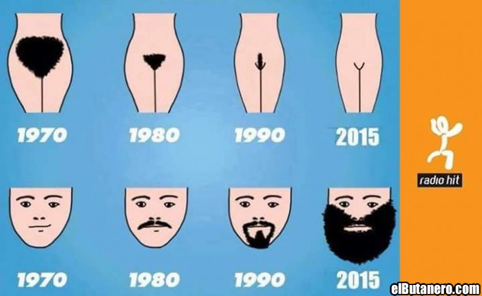 Evolución masculina y femenina