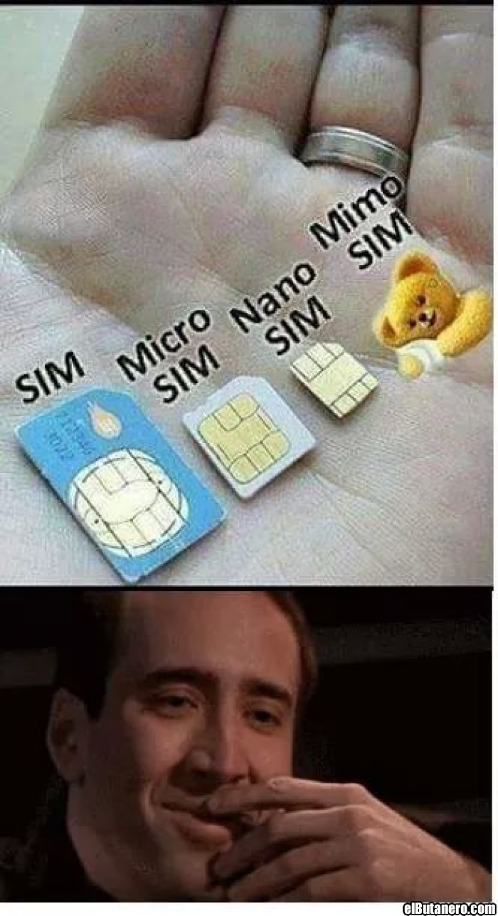 Sim, Micro Sim...