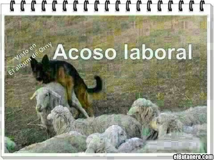 Acoso laboral