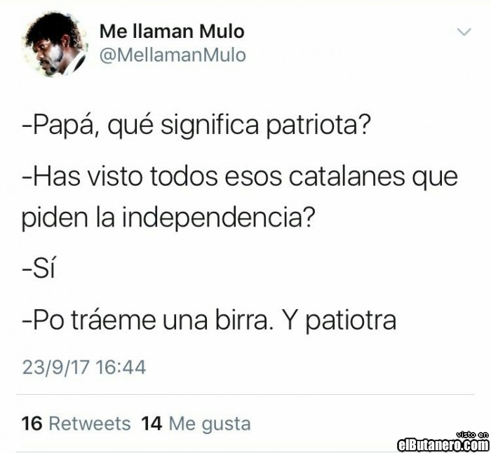 Qué significa patriota?